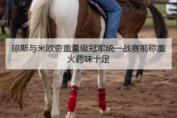 琼斯与米欧奇重量级冠军统一战赛前称重火药味十足